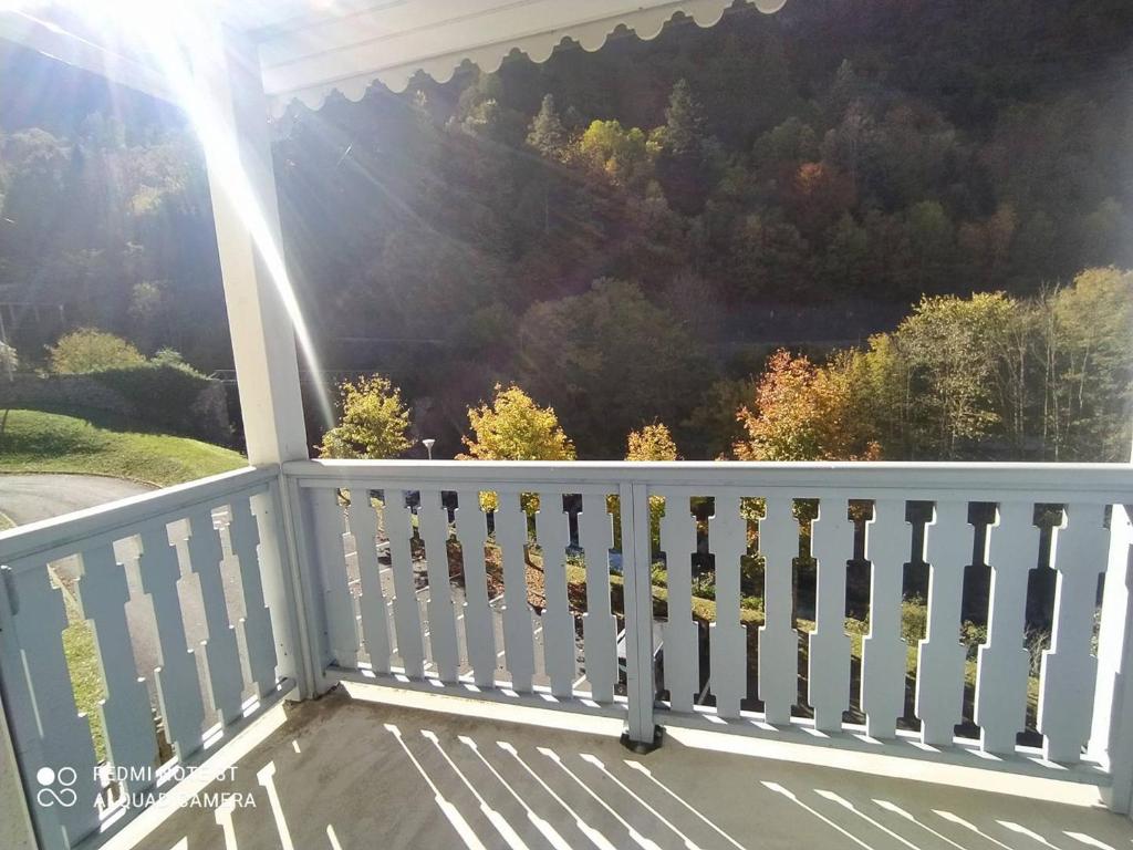 Confort et Vue Montagne : Appartement 2 Chambres à Cauterets - FR-1-812-61 - 4