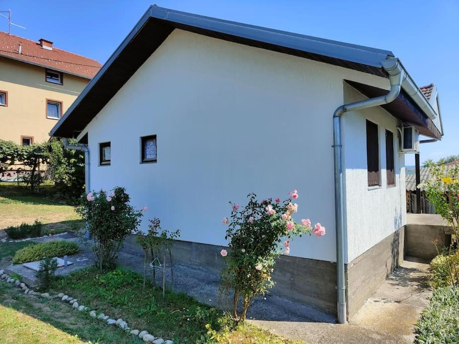 Perfect Serene Escape, Kuljani