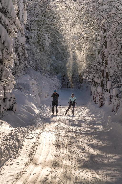 Natur- & Wanderhotel Tuxertal - 5