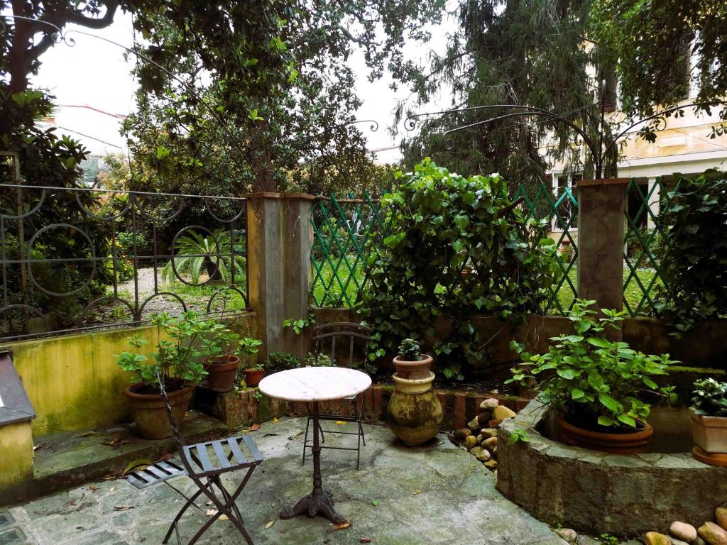 Pintino Garden - 2