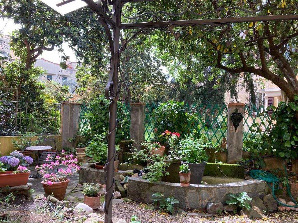 Pintino Garden - 4