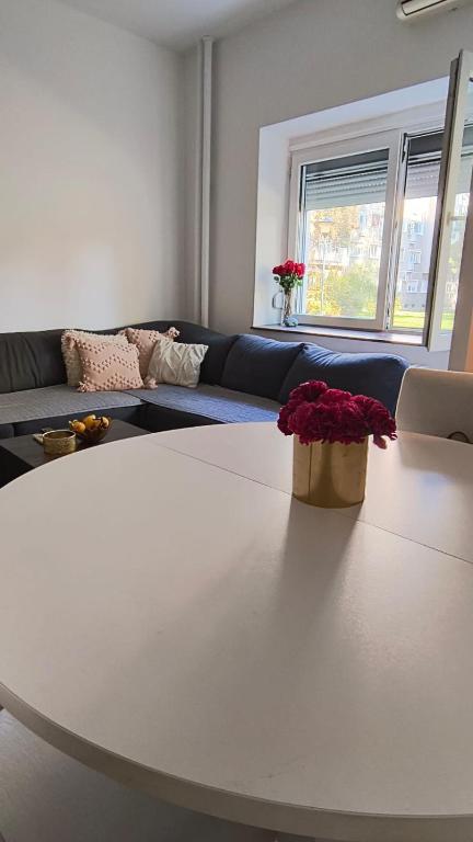 New Belgrade Apartment - 1