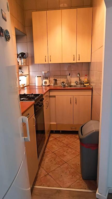 New Belgrade Apartment - 4