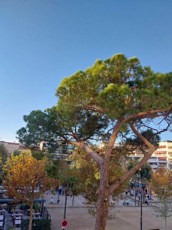 Palm beach Cannes La Brise - 4