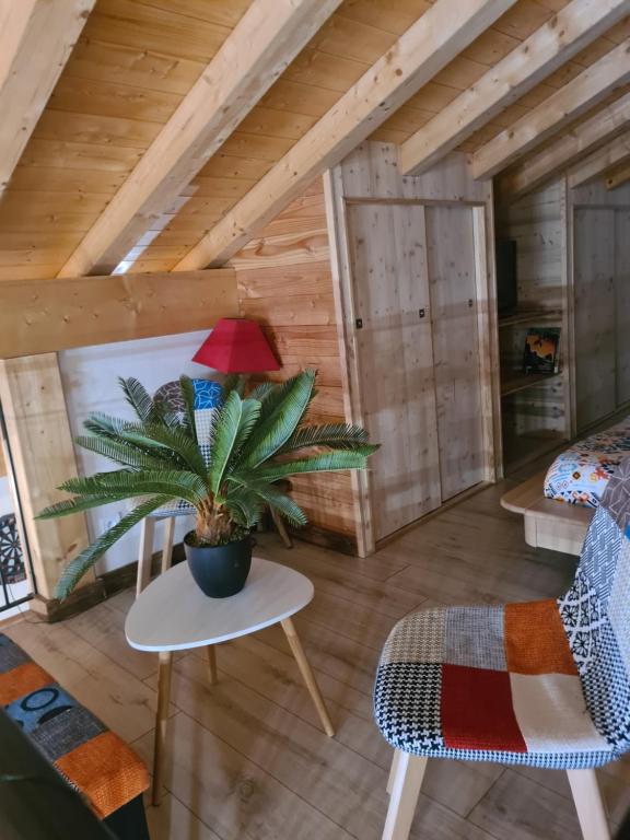 Appartement luxueux - 3