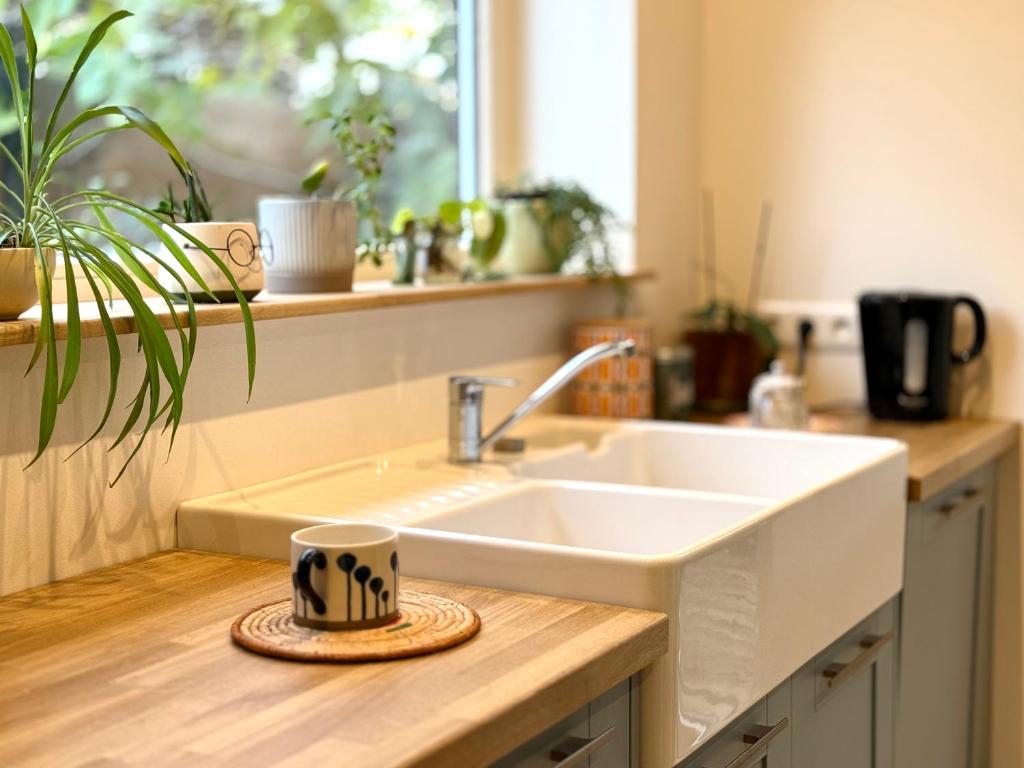 Le Nid Alsacien - 80 m2 avec terrasse et jardin - 5