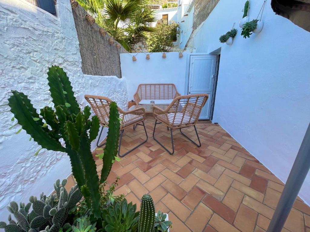 CASA MÚA - 2