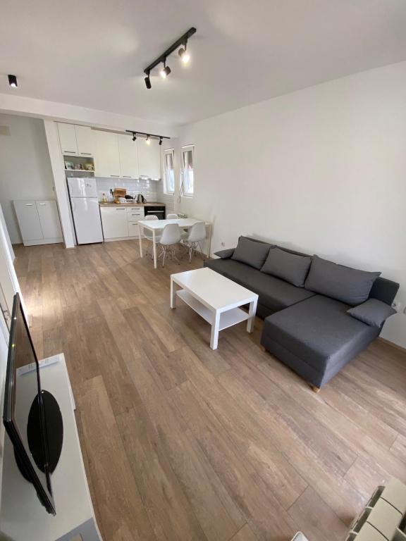 Belgrade Luxury Apartment Vračar - 1