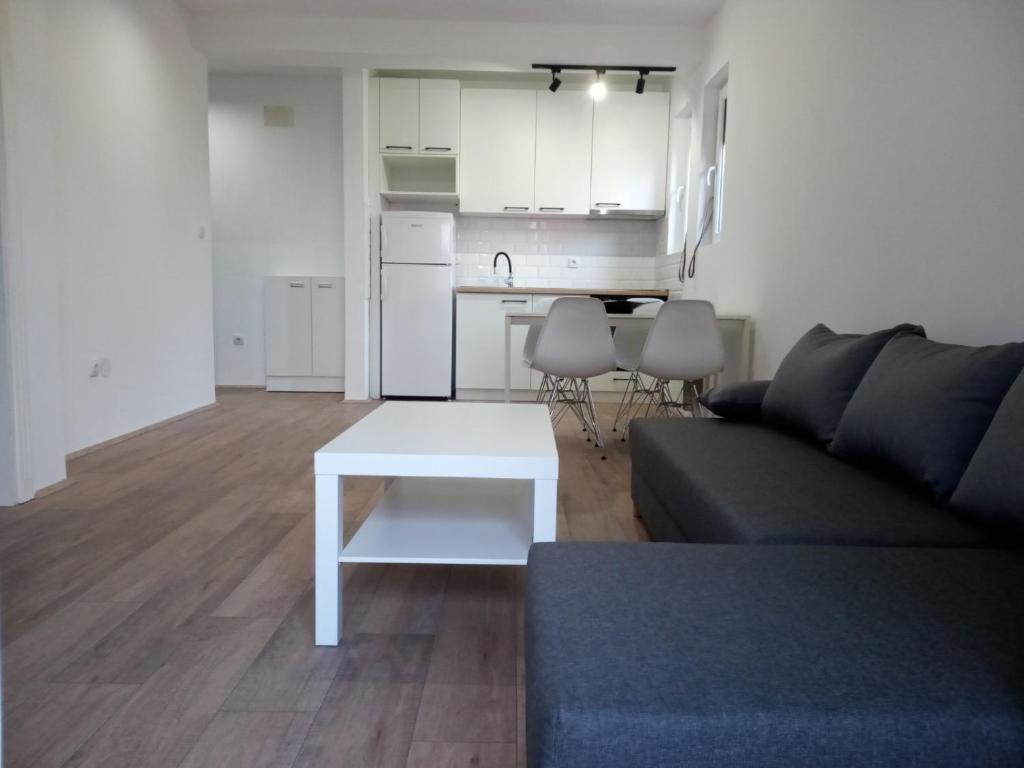 Belgrade Luxury Apartment Vračar - 4