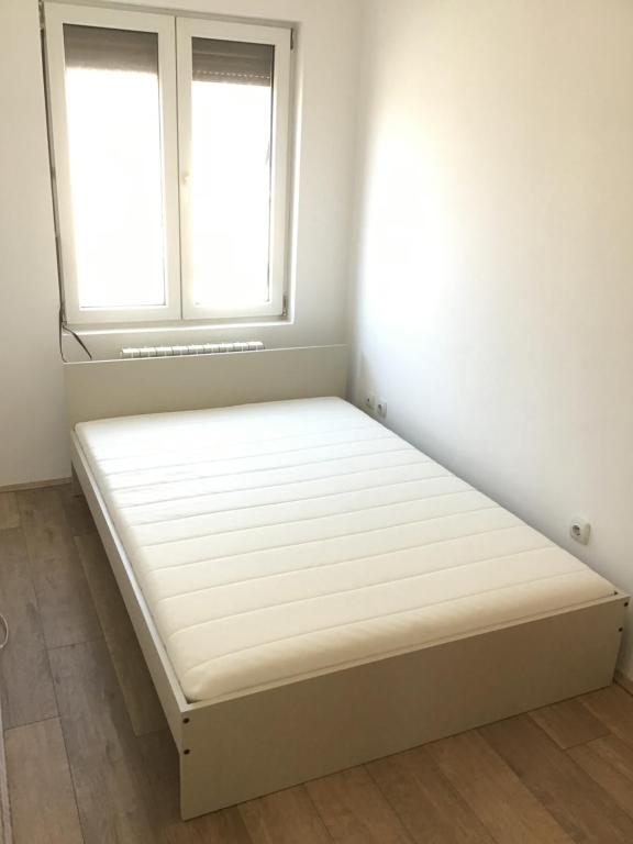 Belgrade Luxury Apartment Vračar - 5