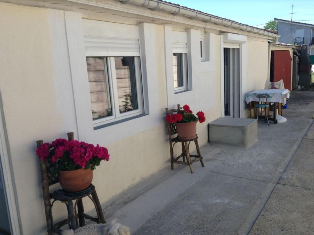 Charming town centre house with garden - 1