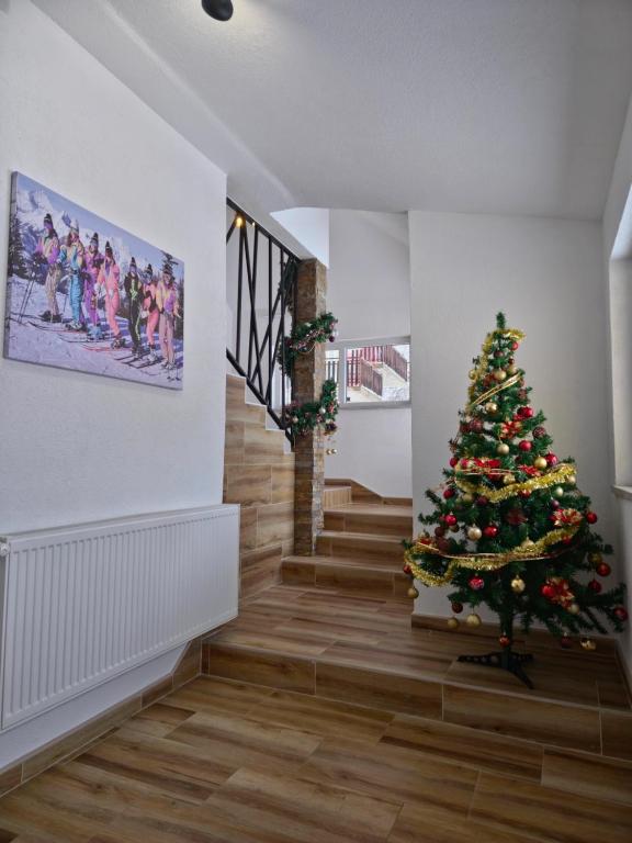 Apartments Tatic - 3