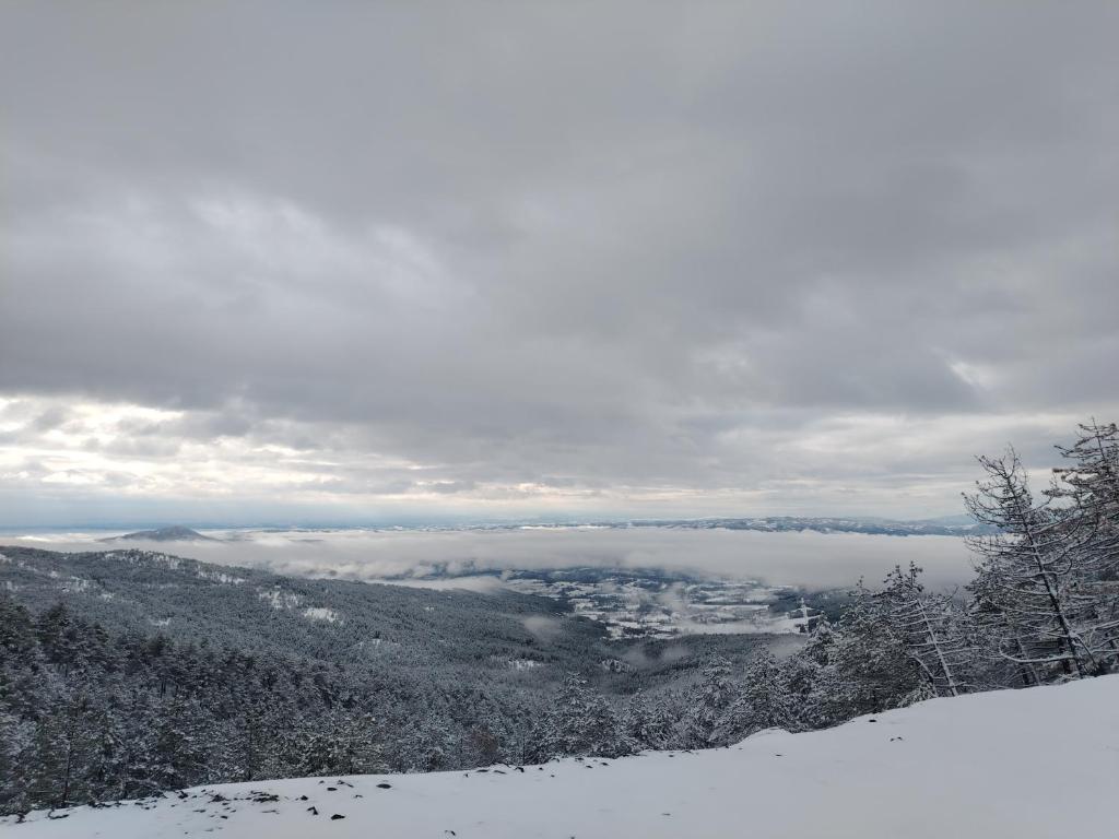Divčibarski Vidik - 2