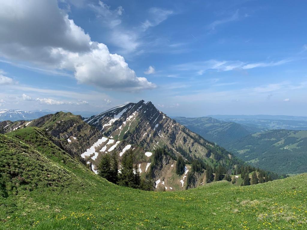 Allgäu Traum - 5