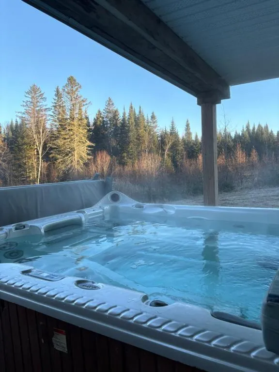 Le Monk ,chalet, motoneige, quad ,nature, randonné pédestre, hotel in Montmagny