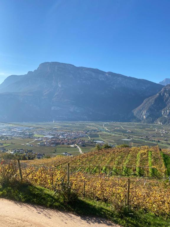Agritur Chalet Belvedere - 3