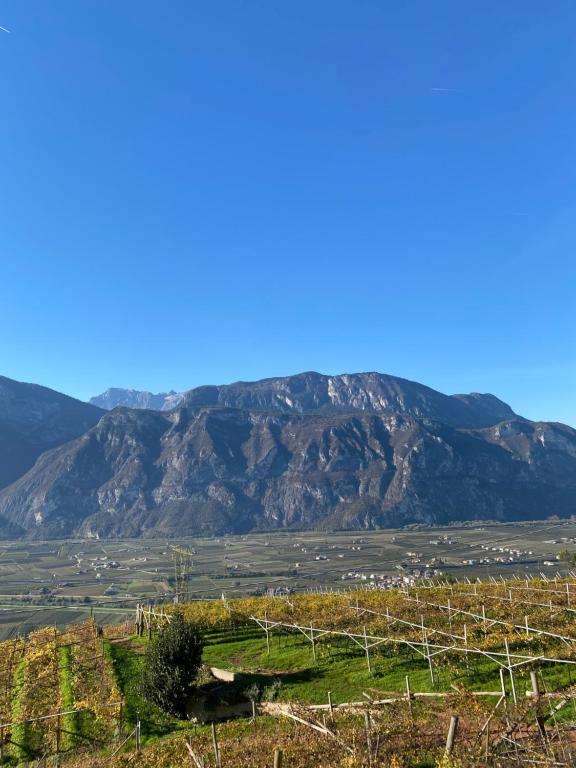 Agritur Chalet Belvedere - 4