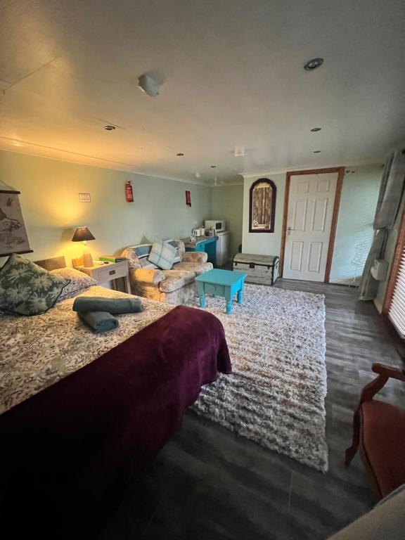 Cosy Cabana Belfast, Belfast