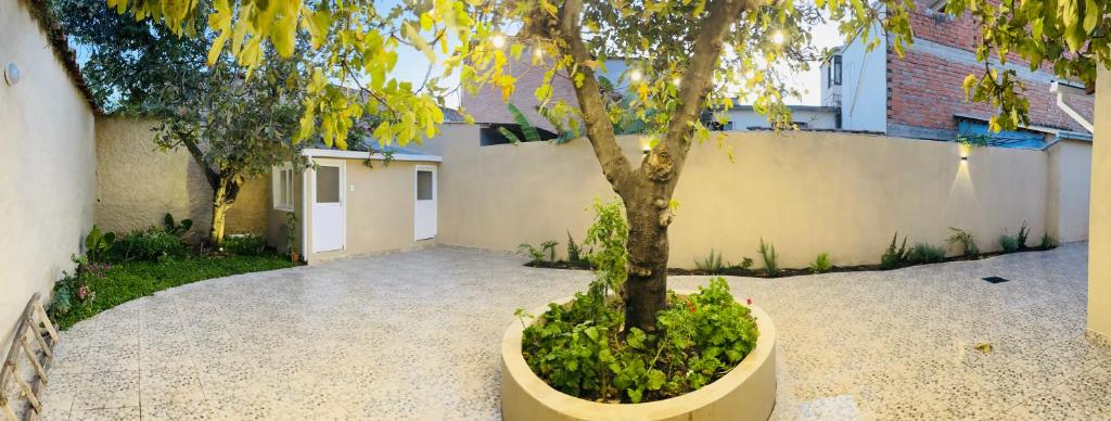 Casa céntrica Las Higueras - 3