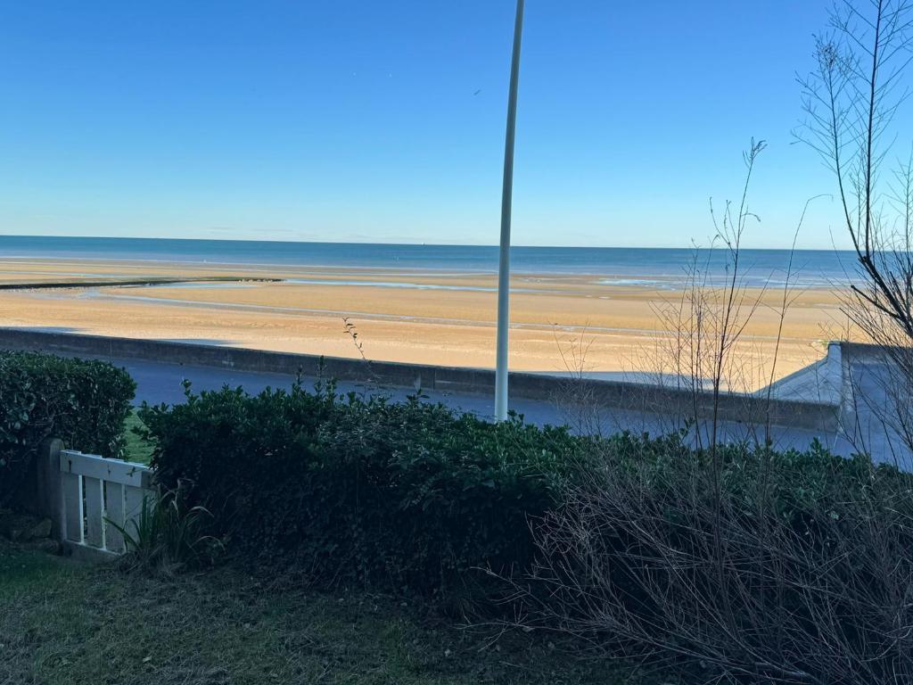 Appartement 3 pièces avec accès direct plage et WiFi - FR-1-487-377 - 5