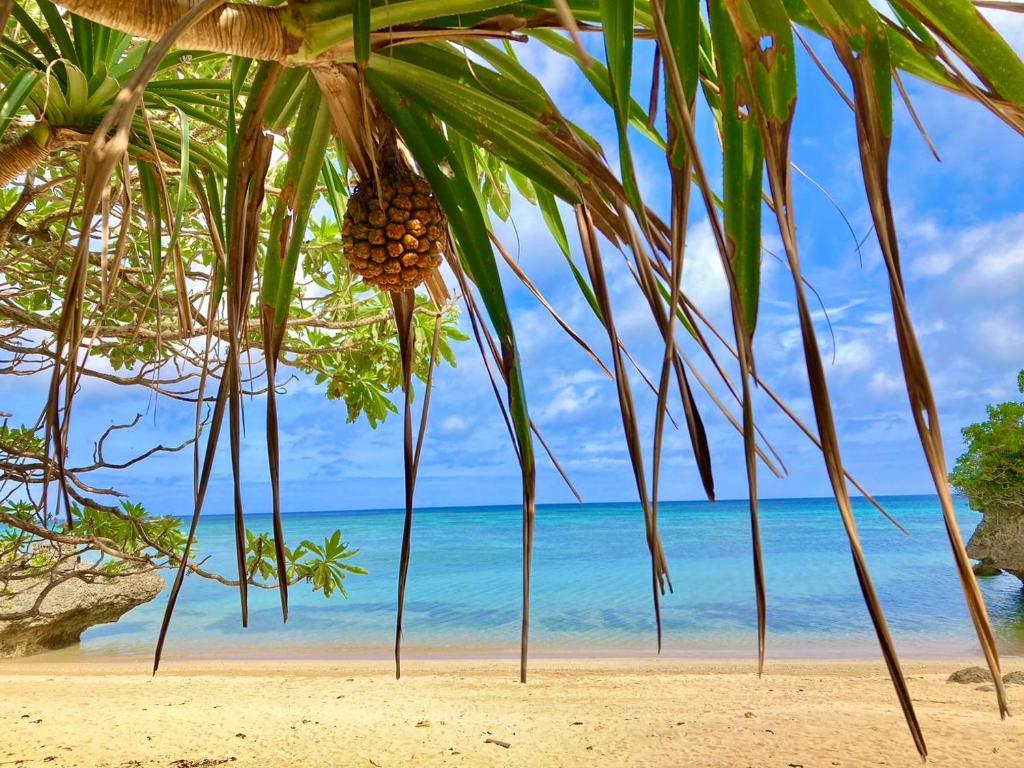 Surrounding environment, 石垣島北部一棟貸しコテージあちみぃん（achimiin） in Ishigaki