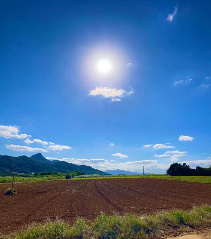 Surrounding environment