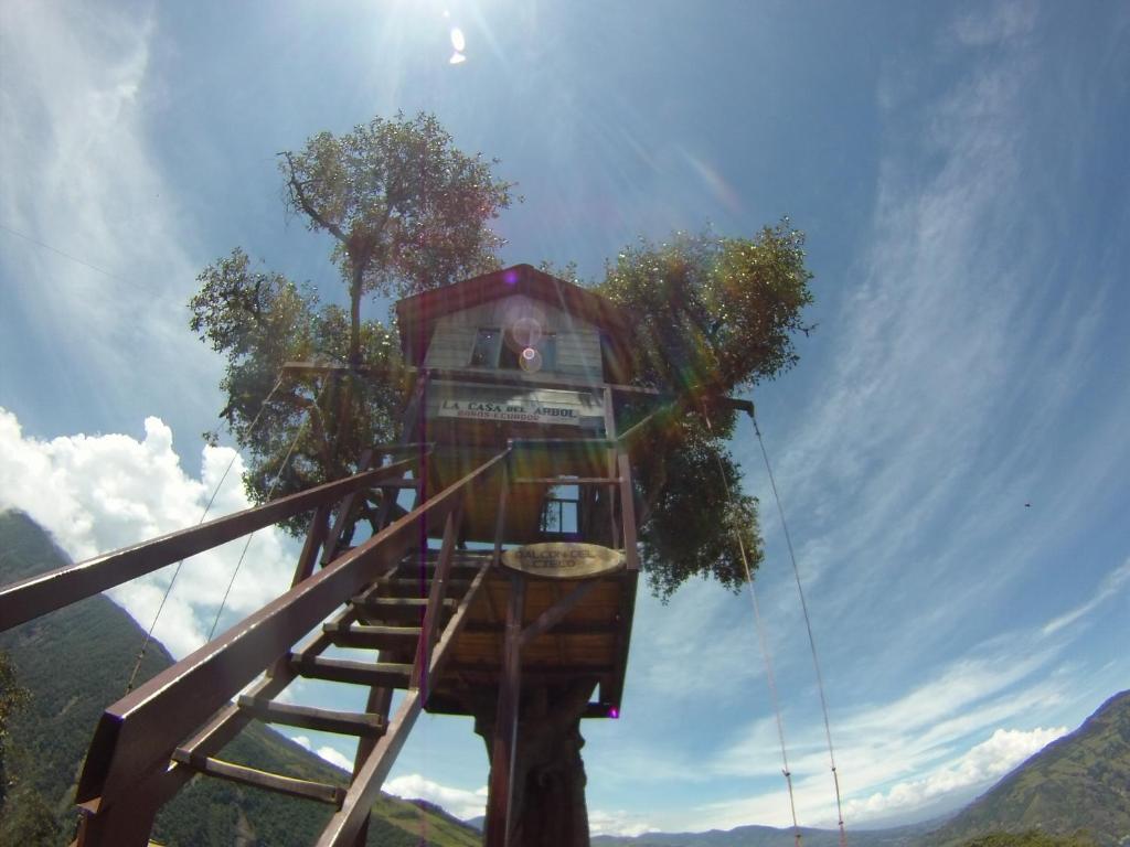 アクティビティ