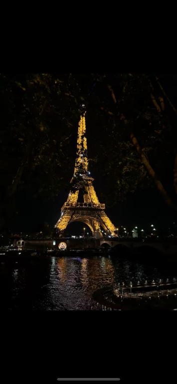 Eiffel Tower View Haussmanian Charm 2min walk from the Eiffel Tower gardens - 1