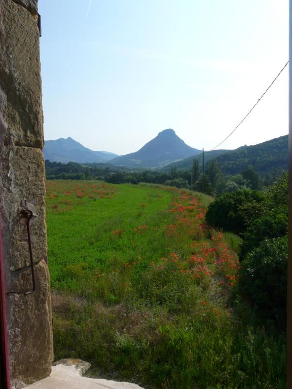 Ferme de la Rose - 2