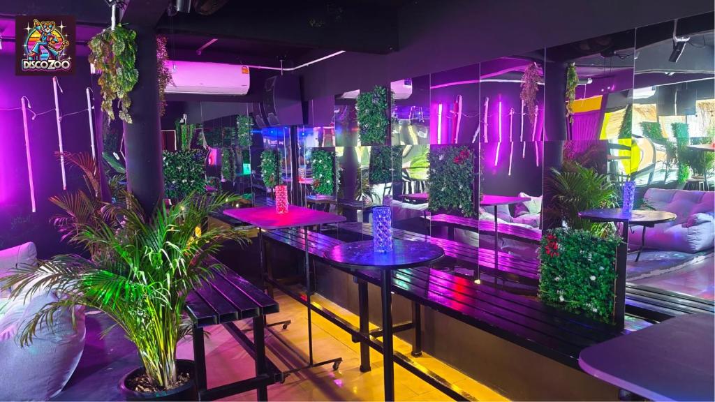 DISCO ZOO Bar & Hostel, Haad Rin