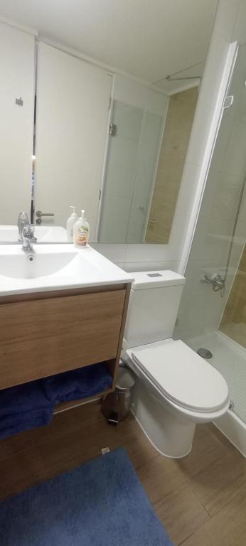 Céntrico, Cómodo y Económico - 2