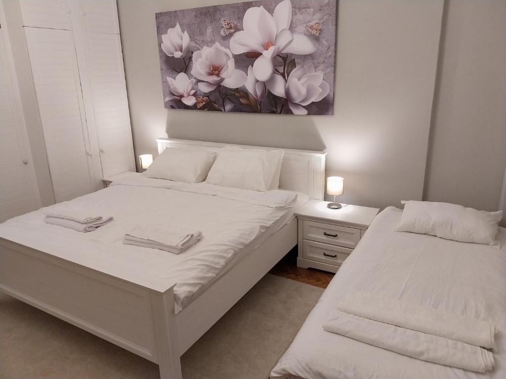 Maximus Apartments - 3