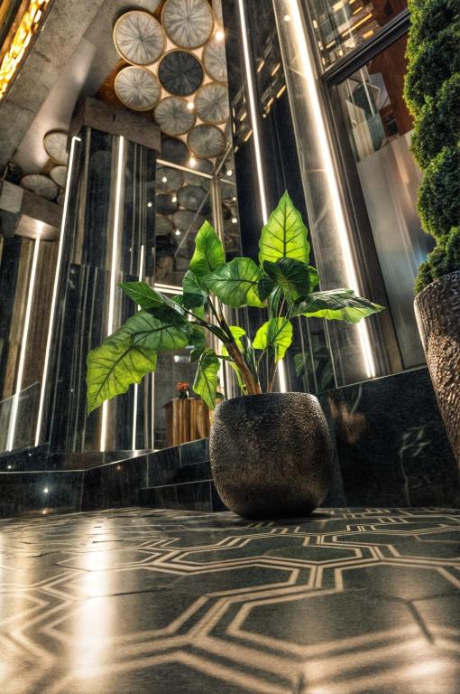 나도르 해안가 전망