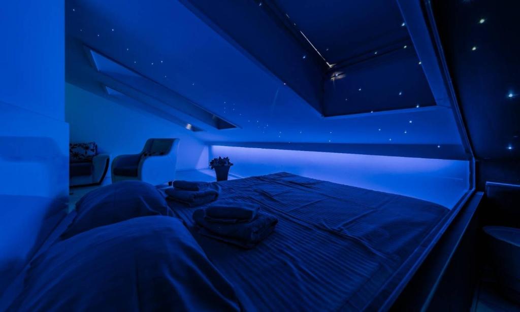 Morning Wood - Skylight - 1