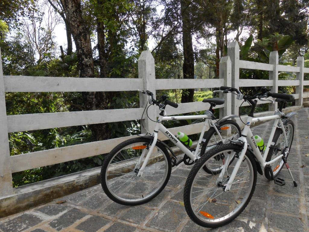 スポーツ/アクティビティ