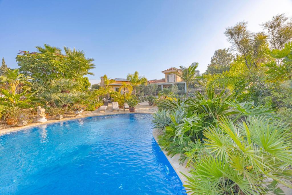 Sconto, L'Alfas del Pi