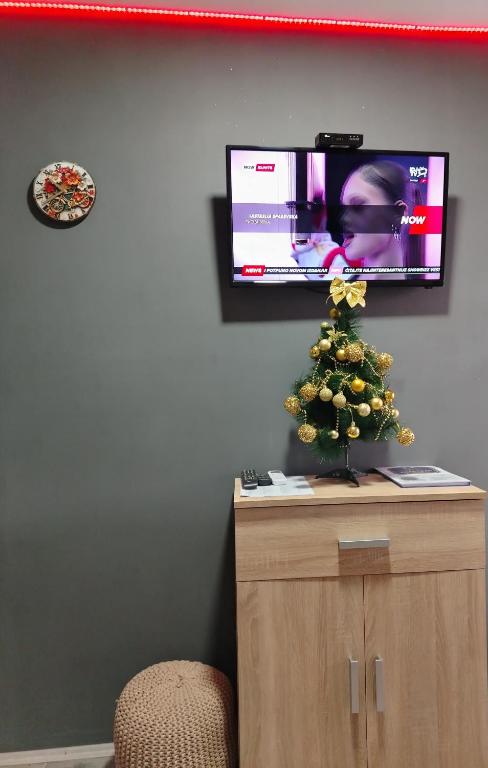 Apartman Boba Vrnjačka Banja - 3