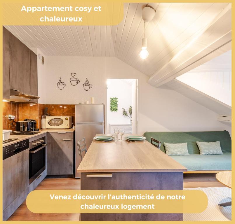 Chez Noé I T2 I Thonon, Thonon-les-Bains