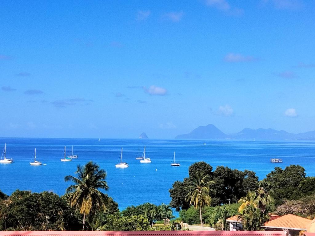 Studio, vue magique Sainte Anne Caritan, Sainte-Anne