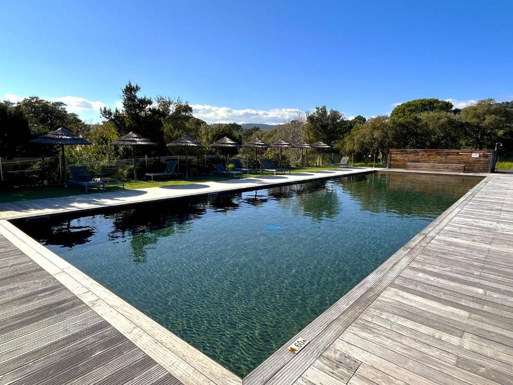 Appartement T2 Pieds dans l'eau Santa Giulia - 3