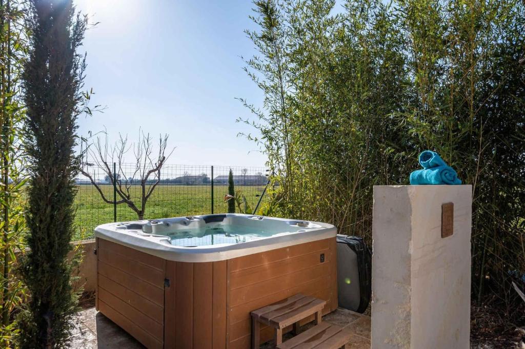 Vacation rental with pool and Jacuzzi, close to Arles - sleeps 10 - 3