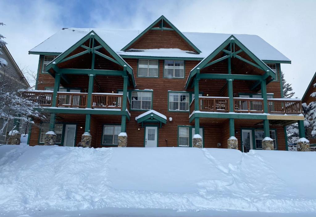 Ski in and out, pet and kid friendly, slope side townhouse, Snowshoe