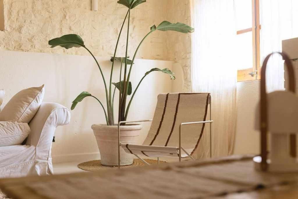 Estudio Niu Lohodihomes - 3