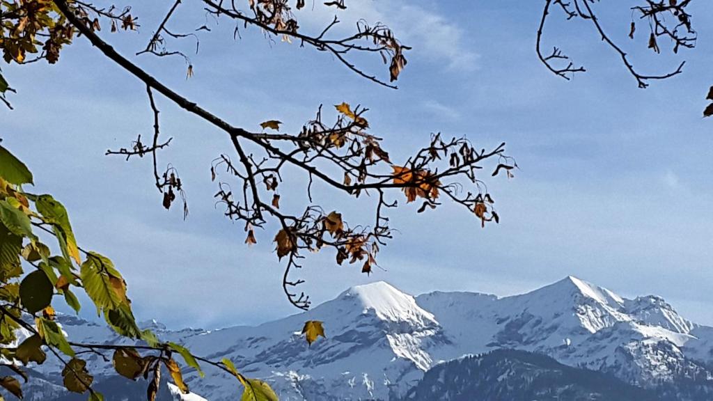 Oase zum SEIN photo