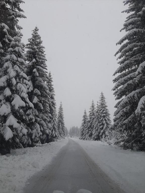 Wooden cottage Podgora - 3