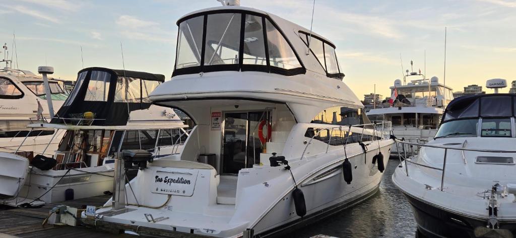 Fly Knots, Vancouver