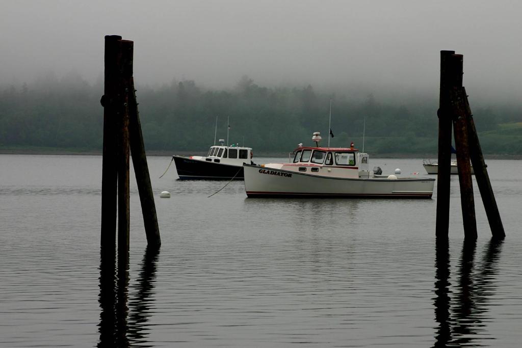Bucksport Inn photo