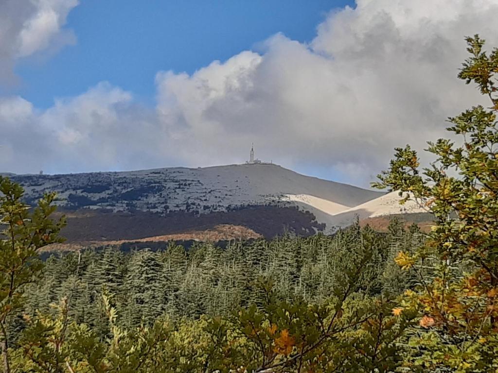 The Chalet VertVentoux - Charming Wooden Chalet for a Cozy and Relaxing Getaway - 2