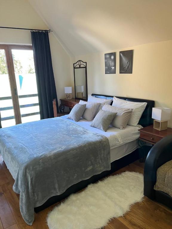 Vila Dragana - 4
