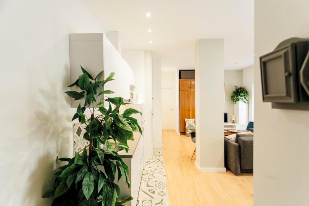 Bright Renovated Full of Natural Light 2BR 2BA - 4